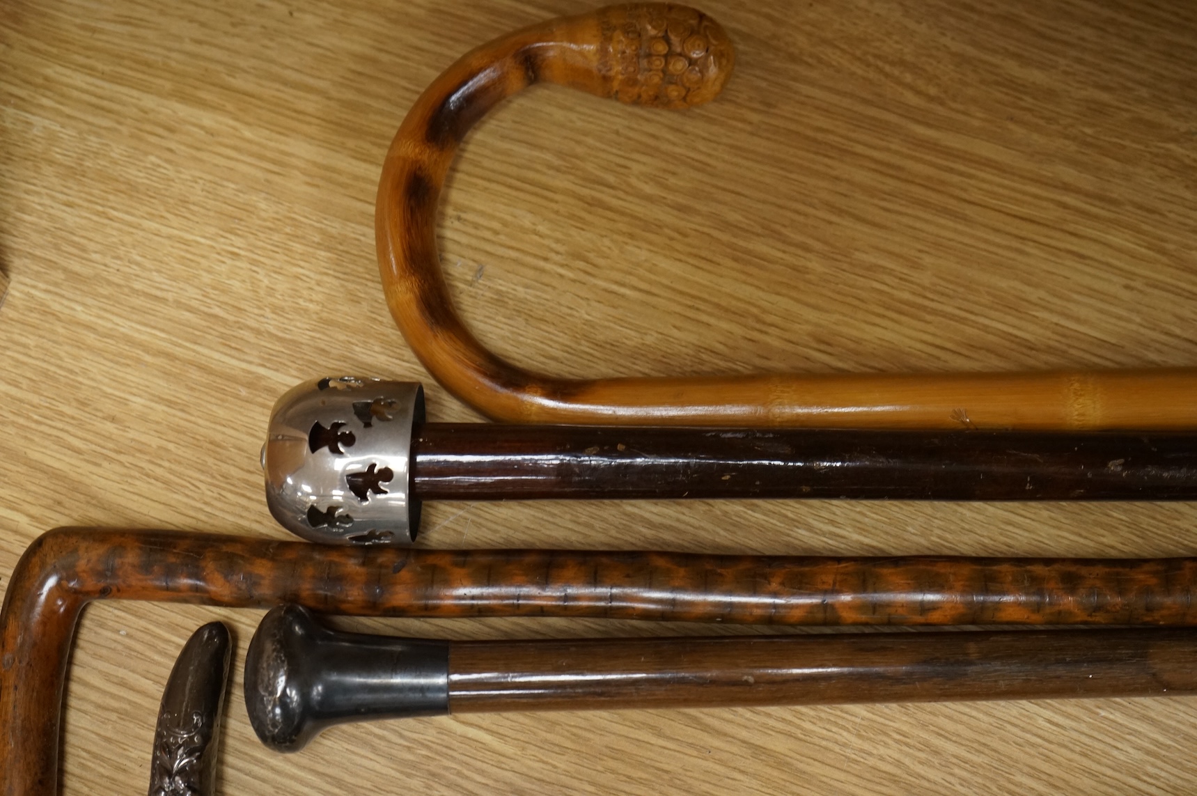 A collection of various walking sticks, one silver mounted